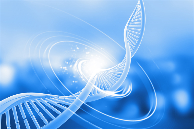 国内首个，辉大基因自主研发的基因编辑工具已获美国专利局授予专利